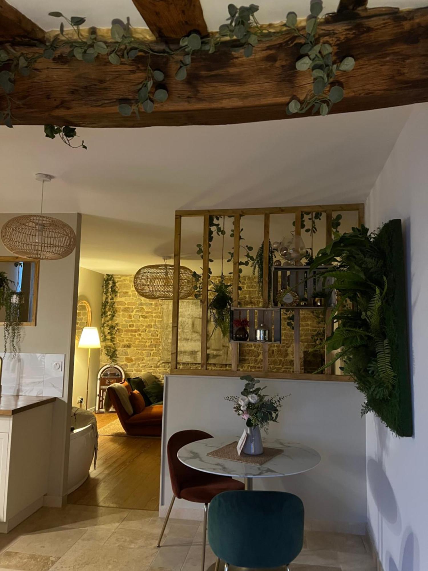 Detente Centre Historique De Avec Et Cine Appartement Mâcon